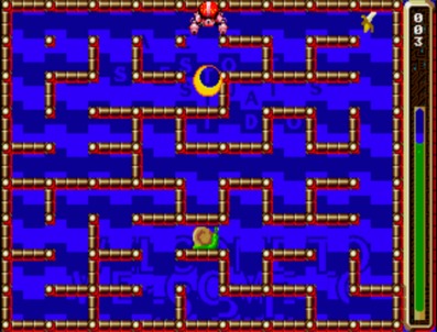 /img/md/snailmaze2.png